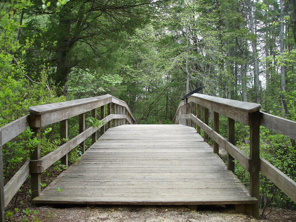 Foot Bridge