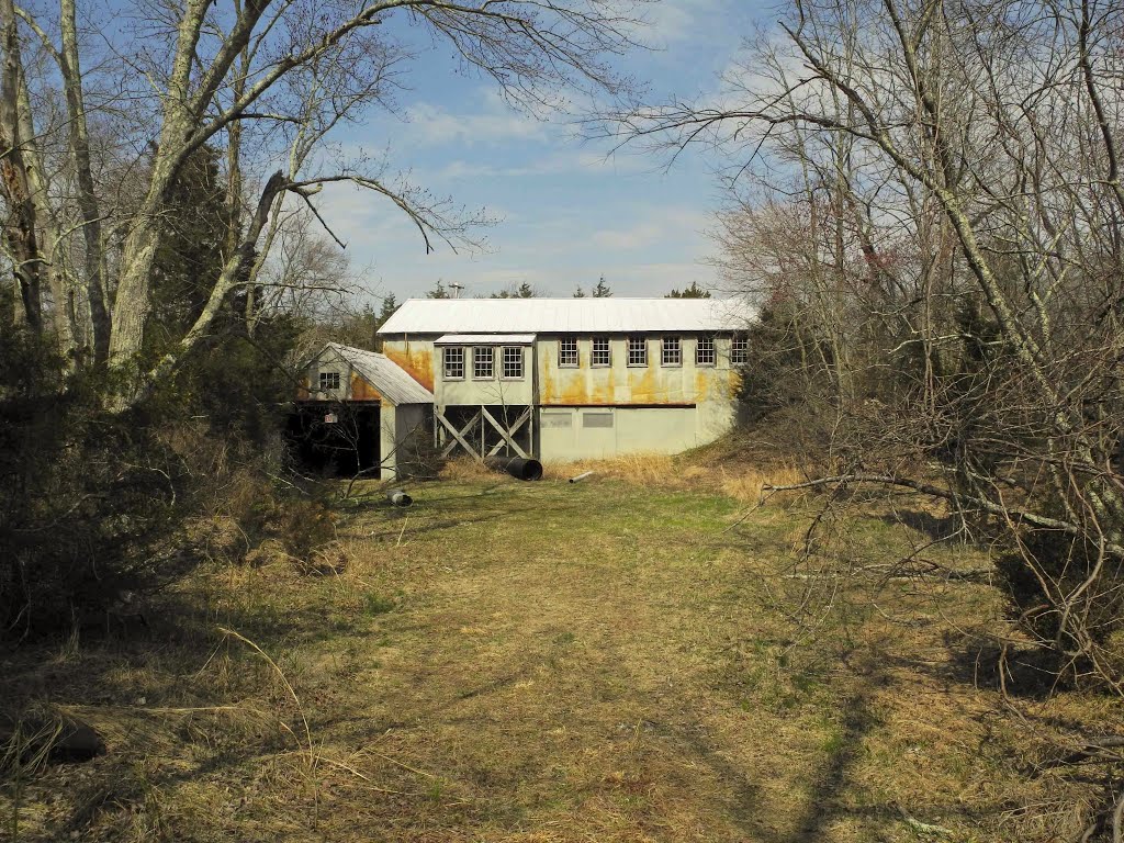 Sawmill, Double Trouble SP