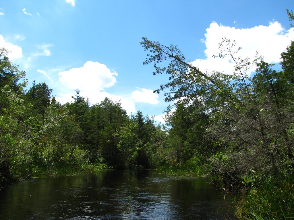 Cedar Creek