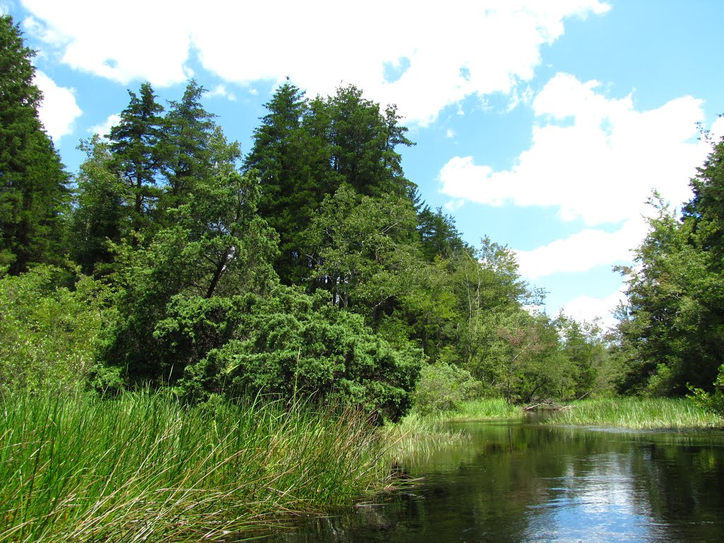 Cedar Creek Downstream