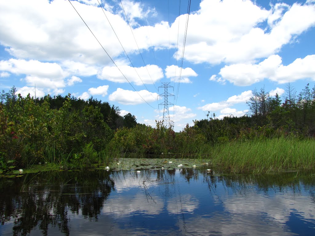 Ore Pond Power Line Crossing