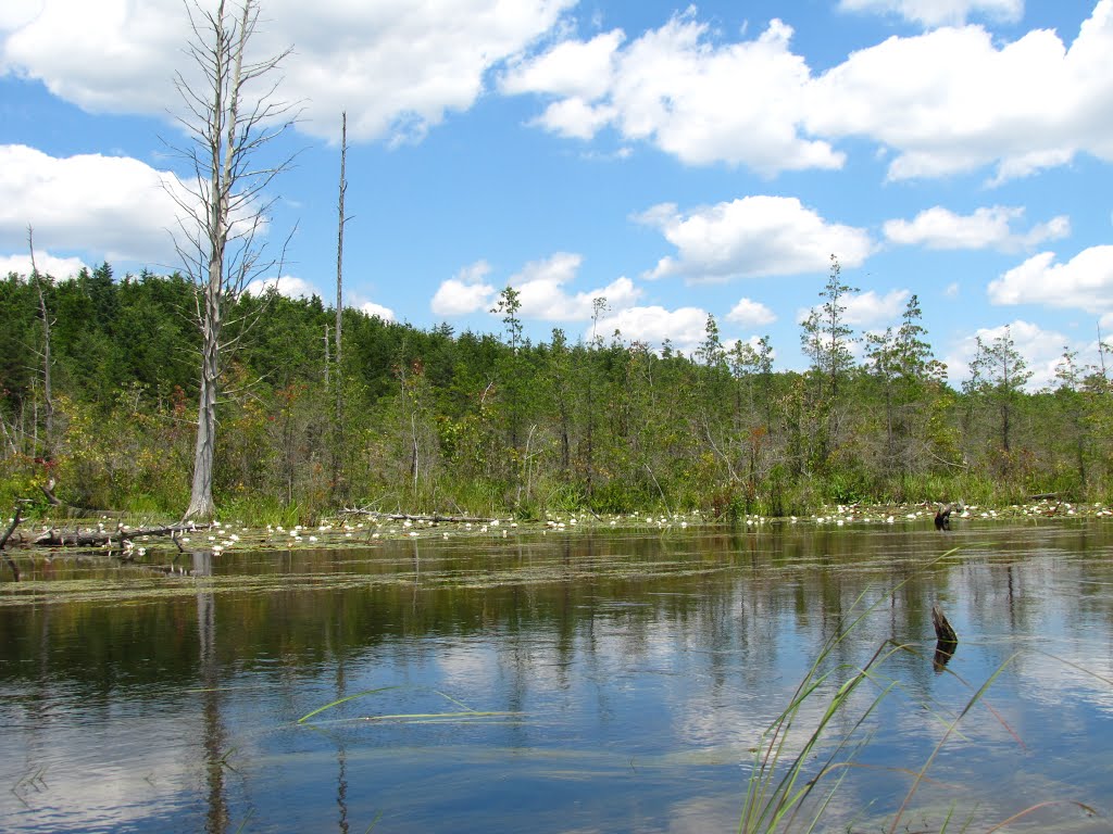 Ore Pond