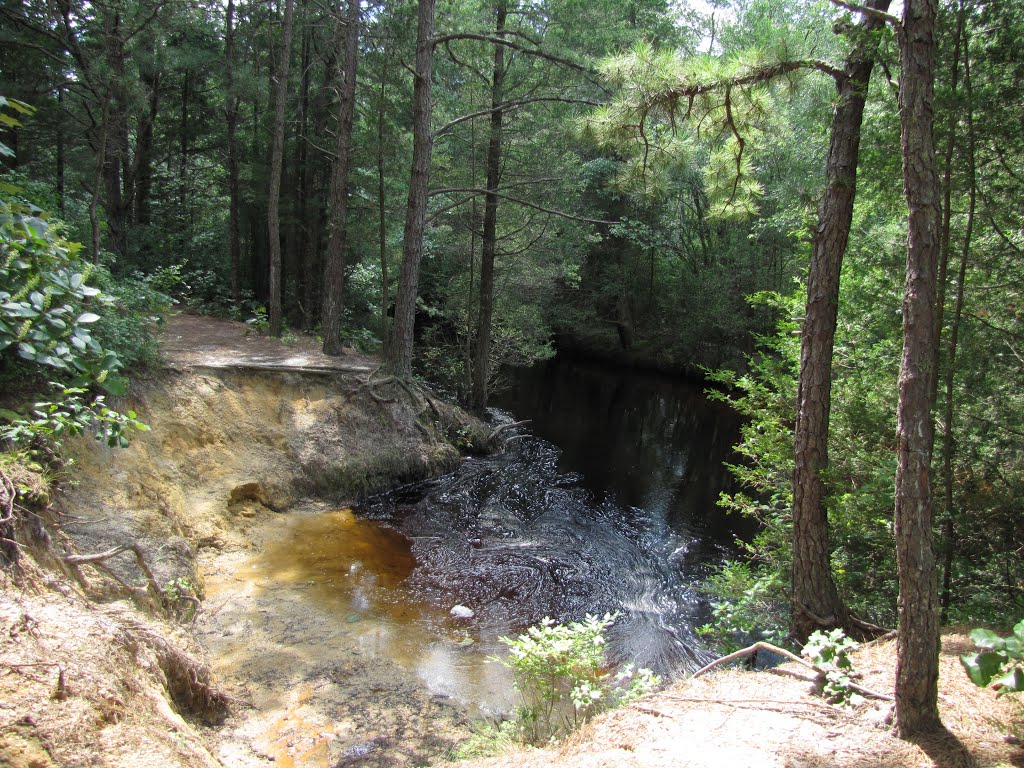 Cedar Creek from Sawmill & Reservoir Trail