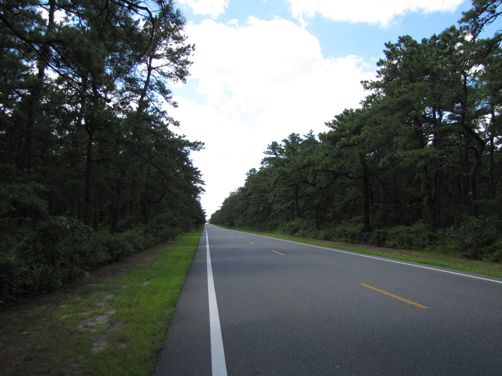 Pinewald-Keswick Road