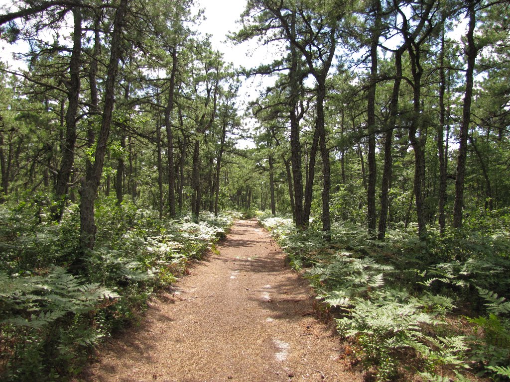 Double Trouble Park Hiking Trail