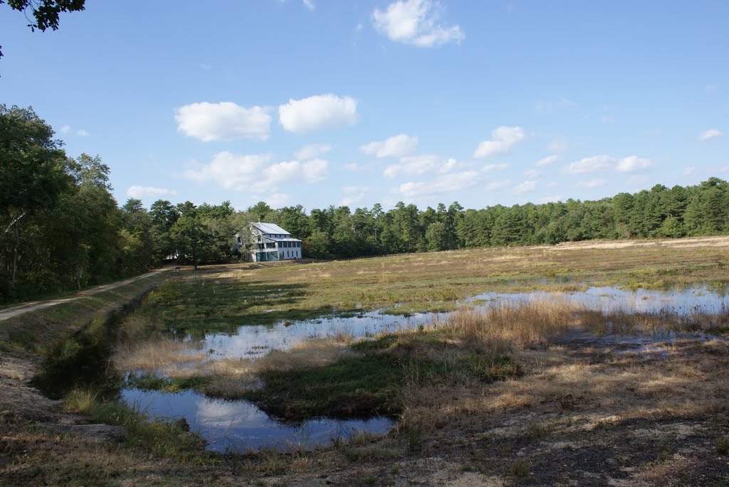 Cranberry Bog at Double Trouble State Park - NJ