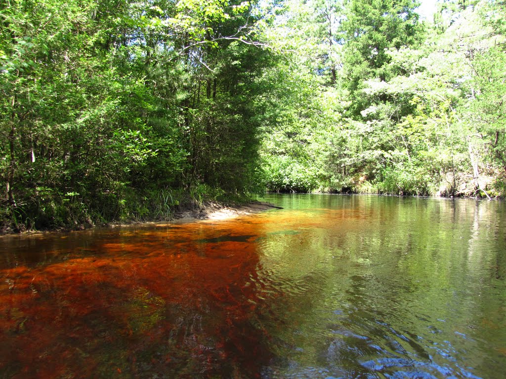 Lower Cedar Creek; Tannin Water