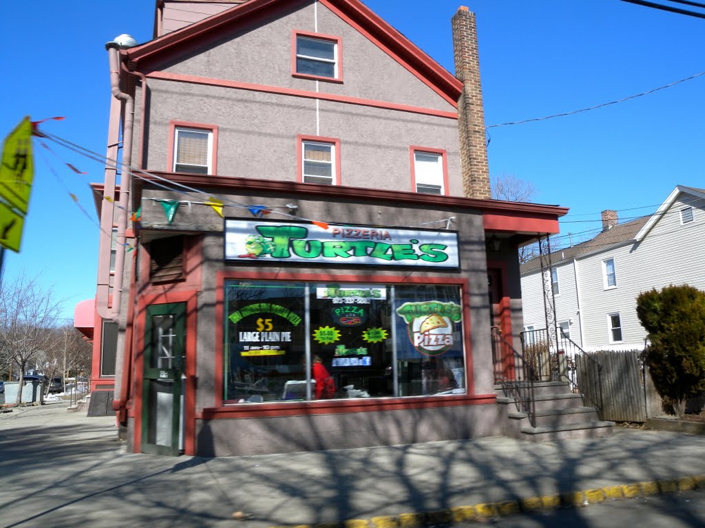 Turtle S Pizza