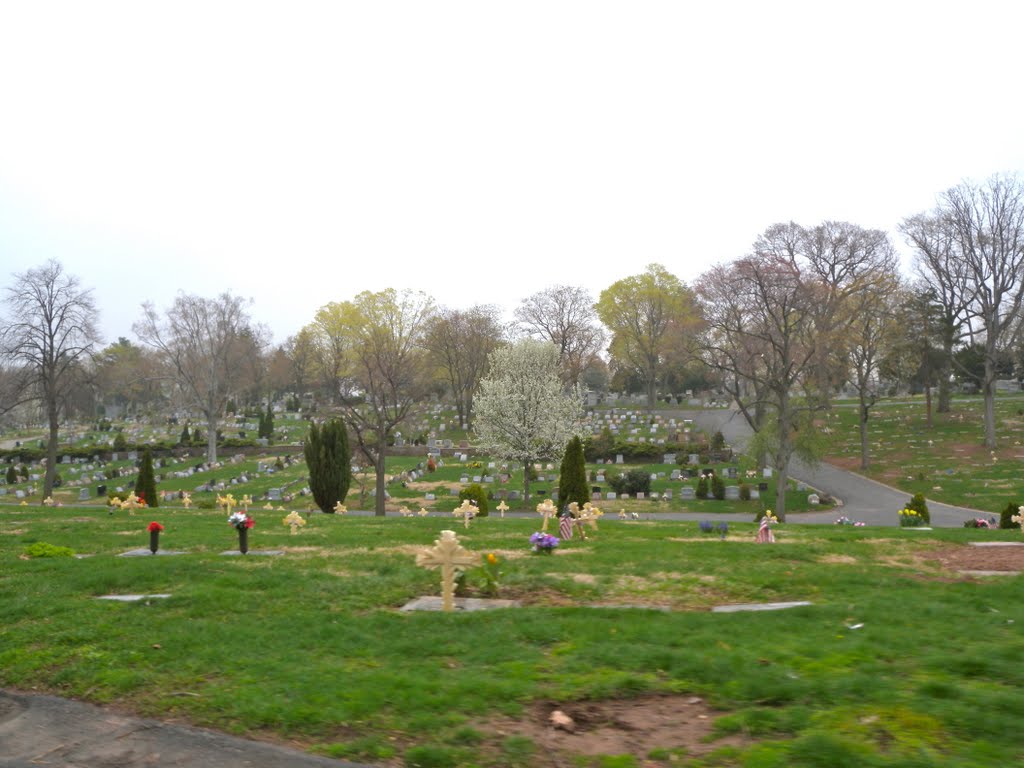 Glendale Cemetery