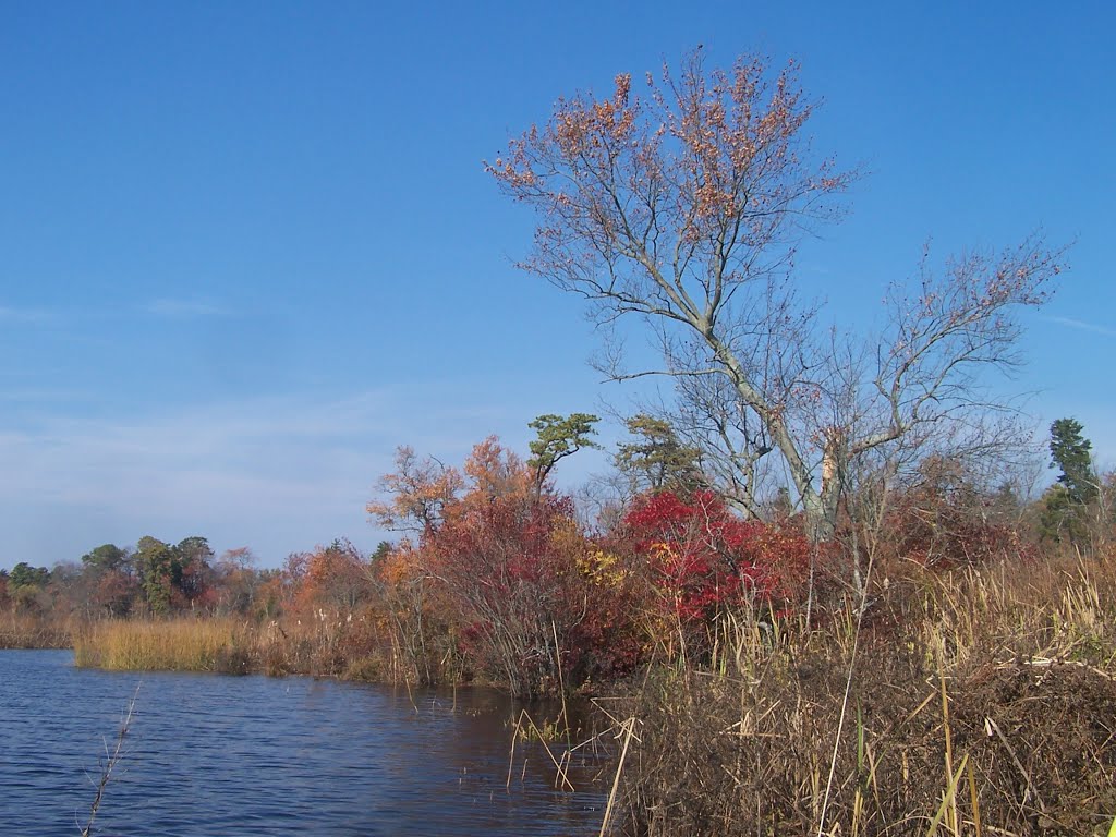 Forge Pond