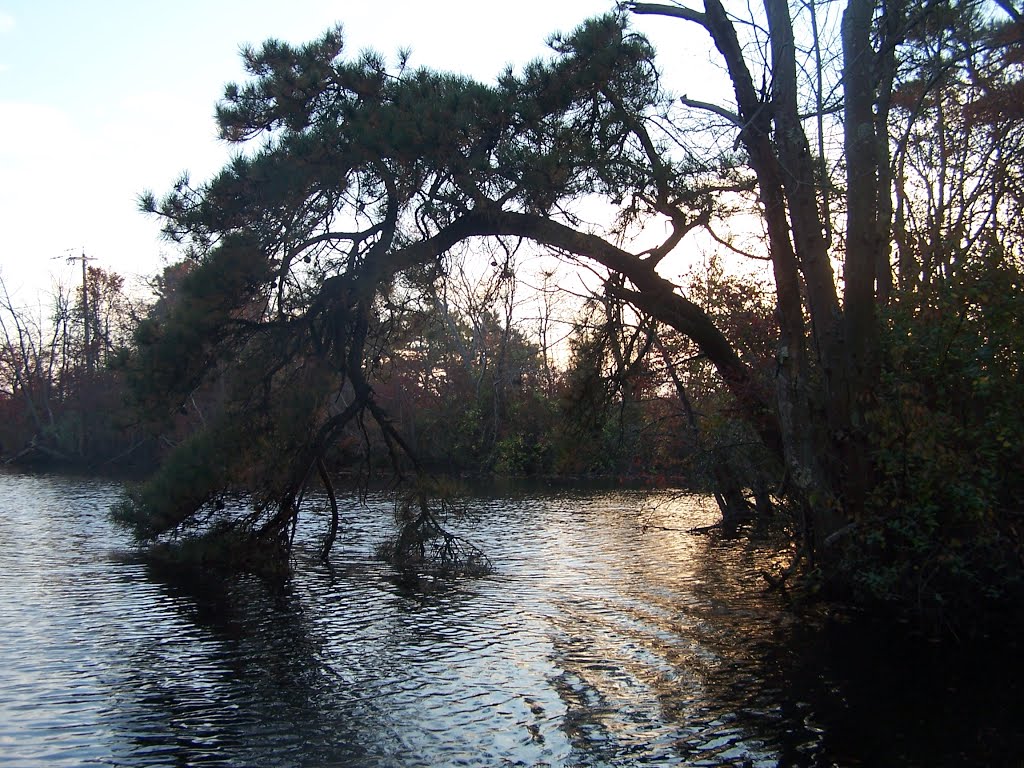 Metedeconk River