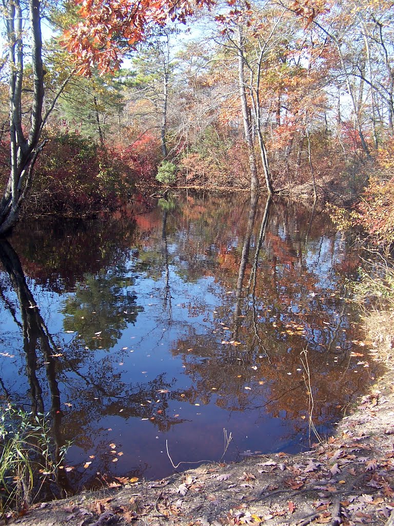 Forge Pond