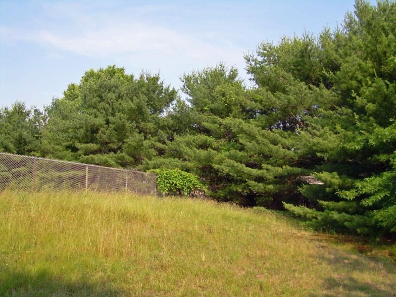 Pinewood Park