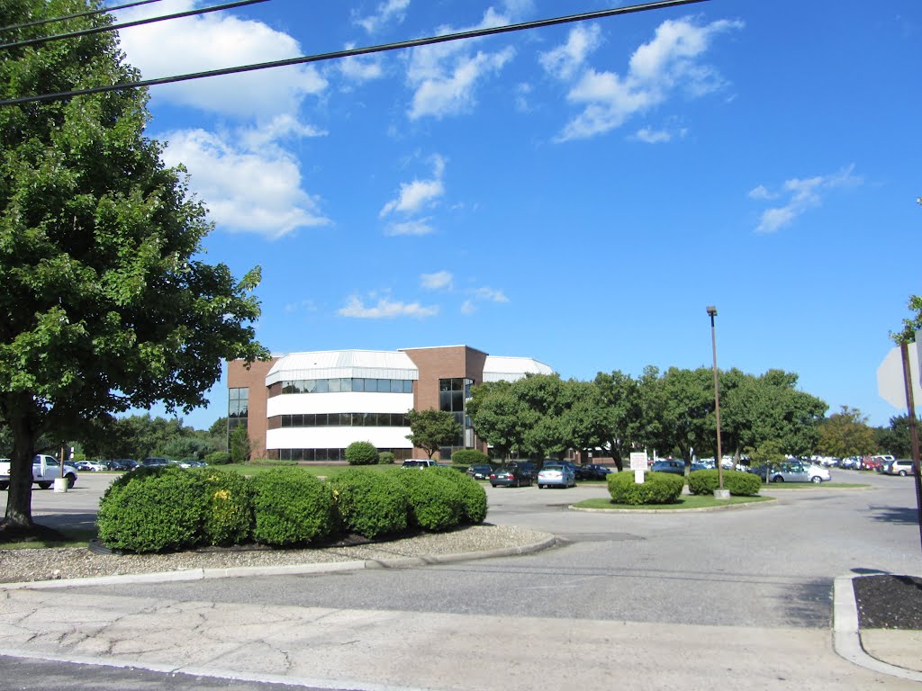 Brick Professional Building