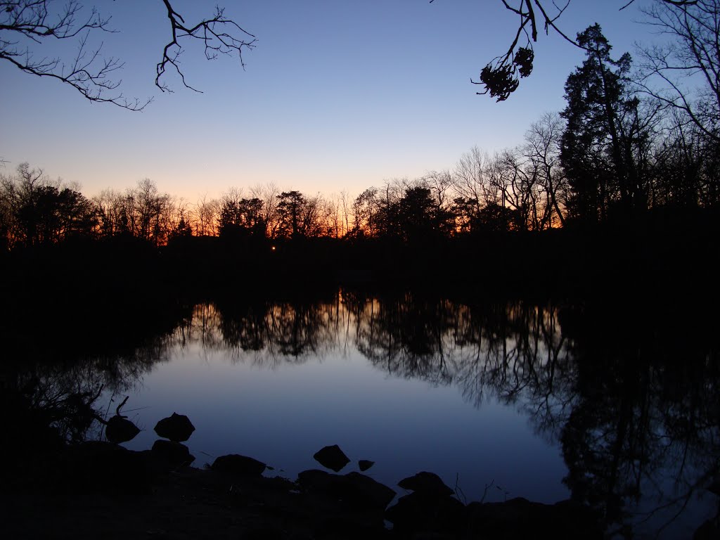 Nights glow