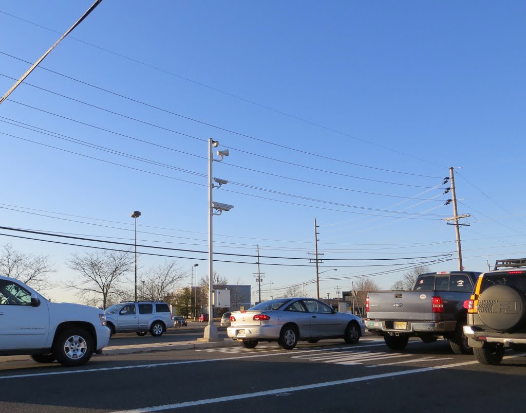 Red Light Camera