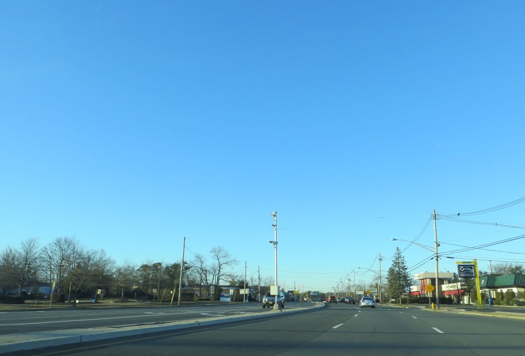 Red Light Camera