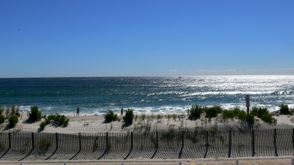 beach and dunes, 2007