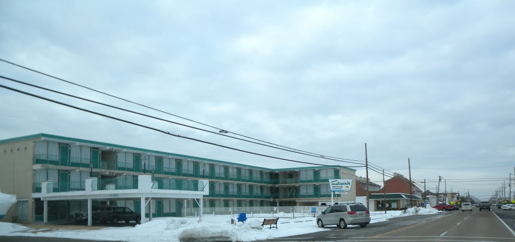 Tradewinds Motor Lodge