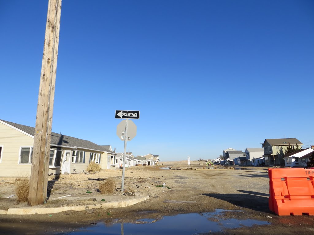 Life after Hurricane Sandy