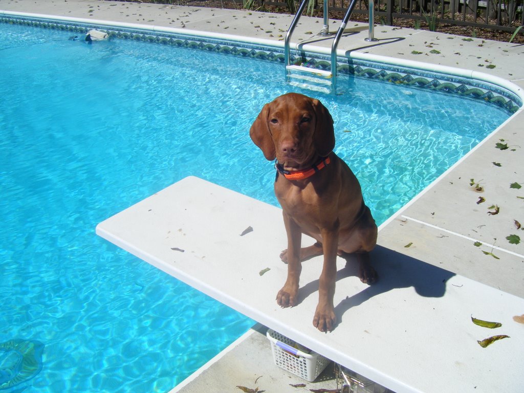 Oakley