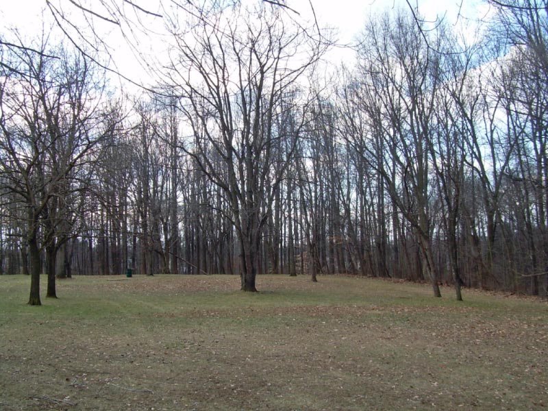 Shai Shacknai Memorial Park
