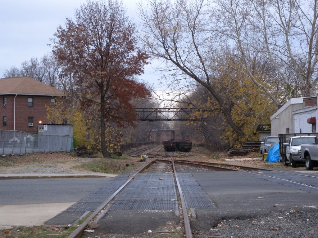 NYGL Dundee Yard
