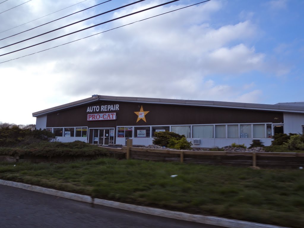 Pro-Cat Auto & Truck Repair