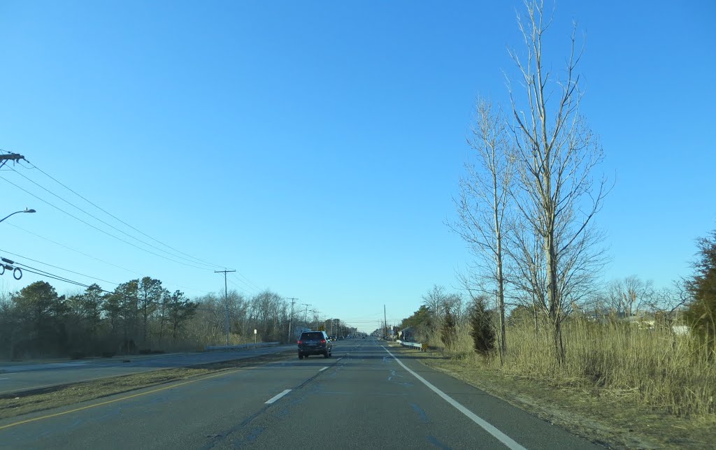 Fischer Boulevard