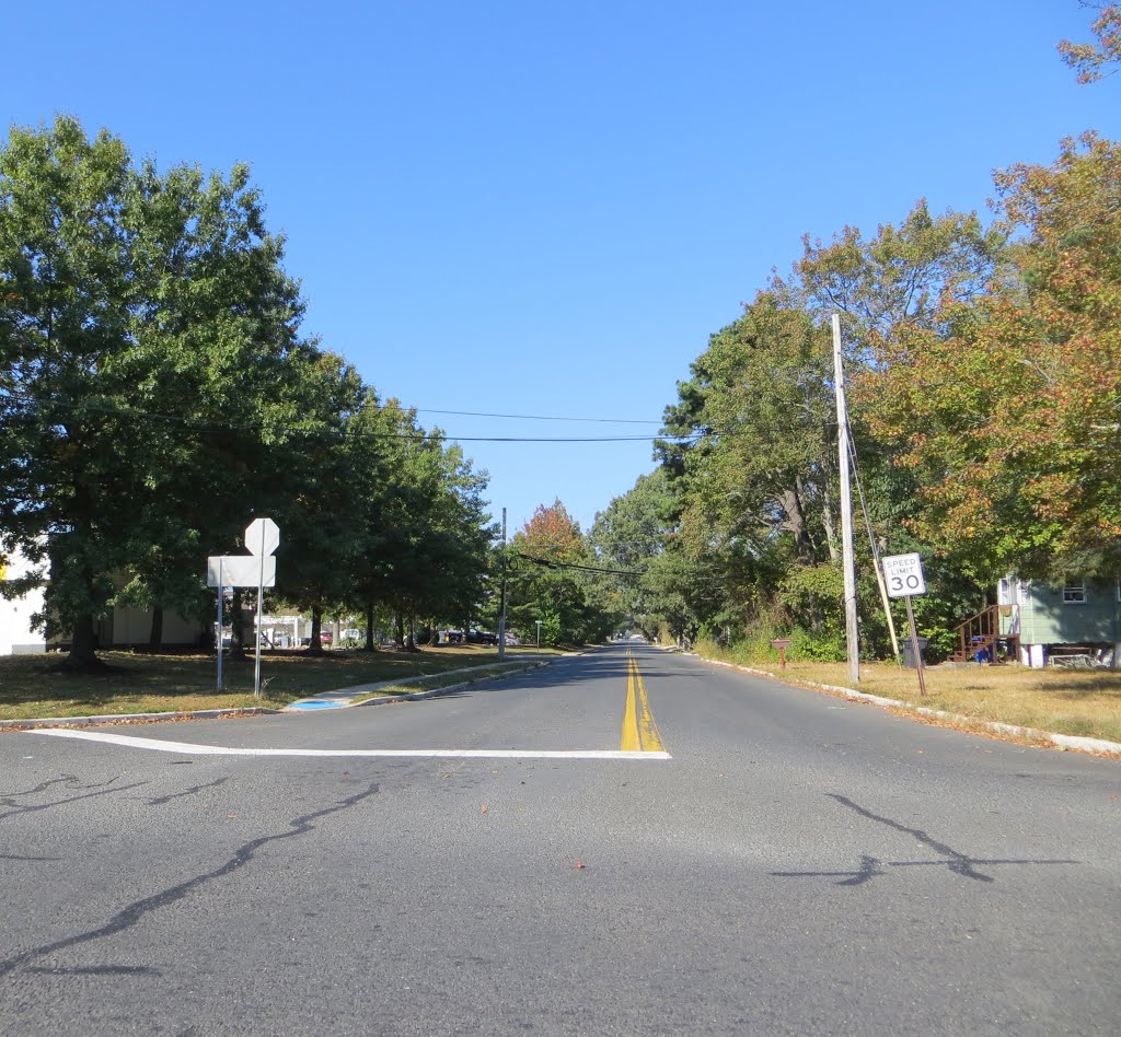 Adams Avenue