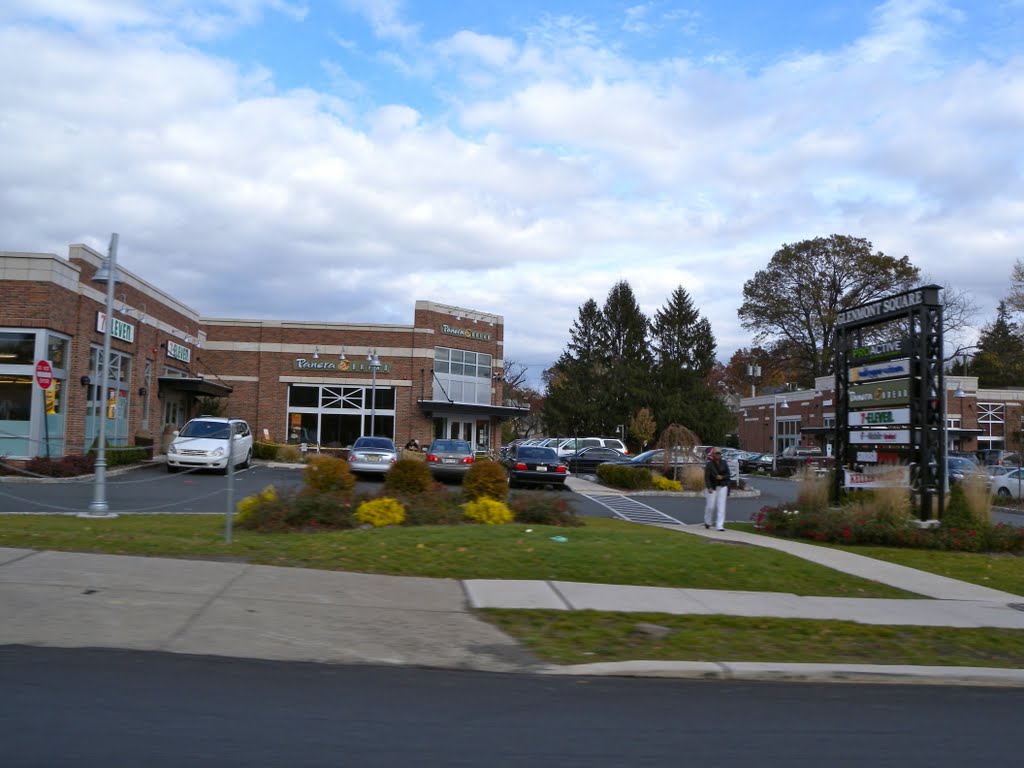 Panera Bread