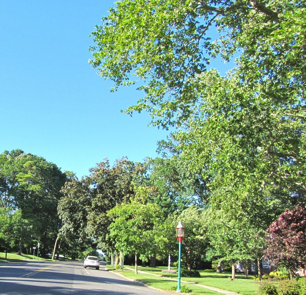 Ridgewood Avenue