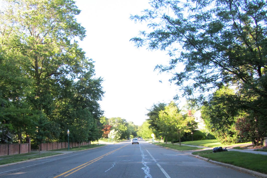 Ridgewood Avenue