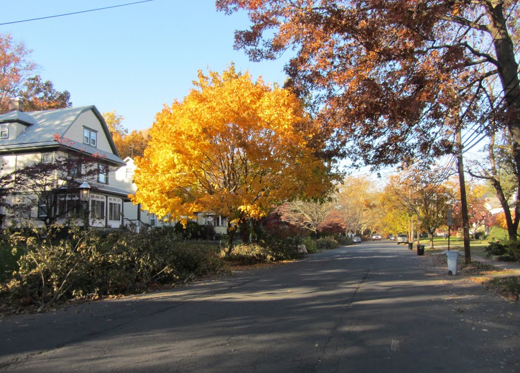 Essex Avenue