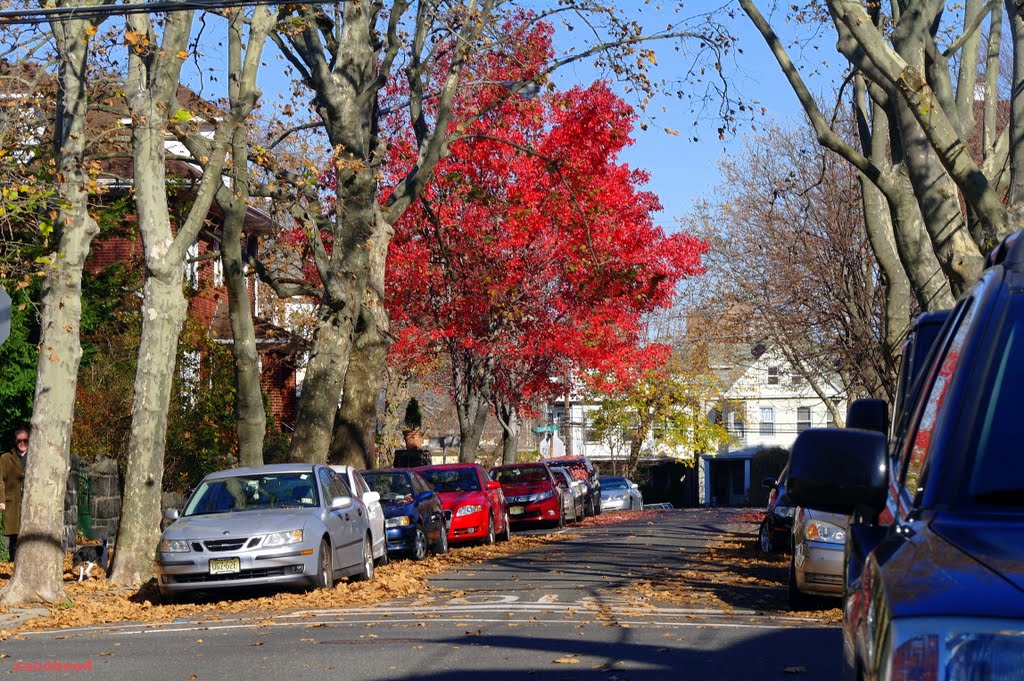 Rebecca, red flag in your neighbourhood? ??????????????la bandera roja en su barrio?    (for TomRos)