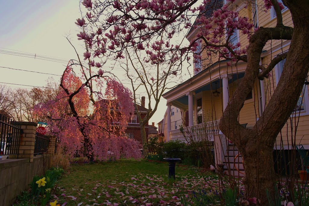 Quisiera Que La Vida asi fuese............... de color de Rosa ♥♥♥♥♥♥                     I wish life were as well Color of Rose ♥♥♥♥♥♥