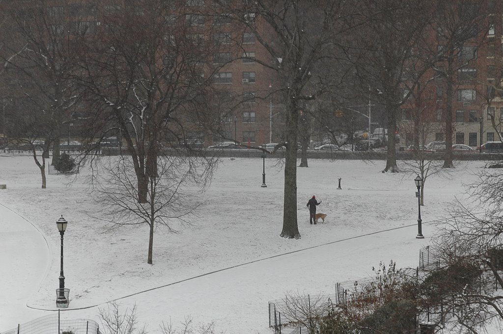 Snow day in New York
