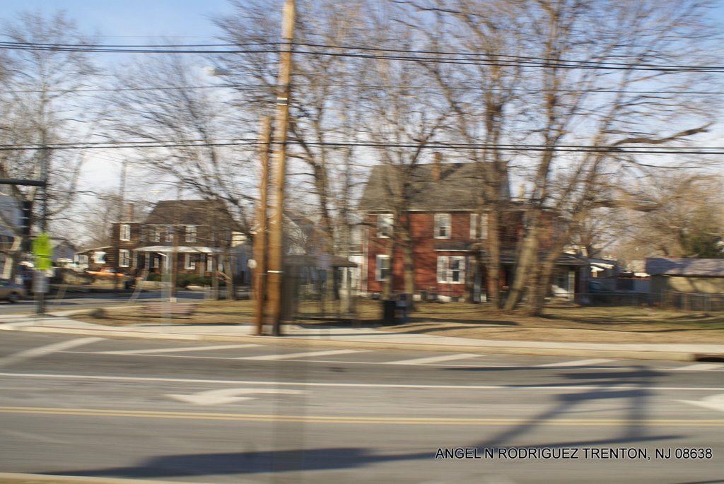 View from the Riverline