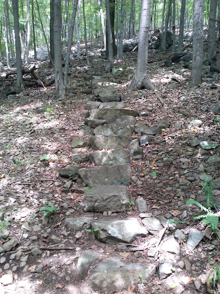 Watnong Mountain stone steps