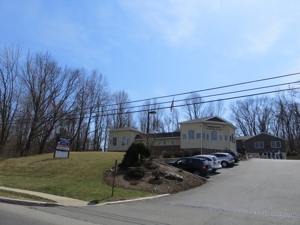 Animal Clinic of Morris Plains