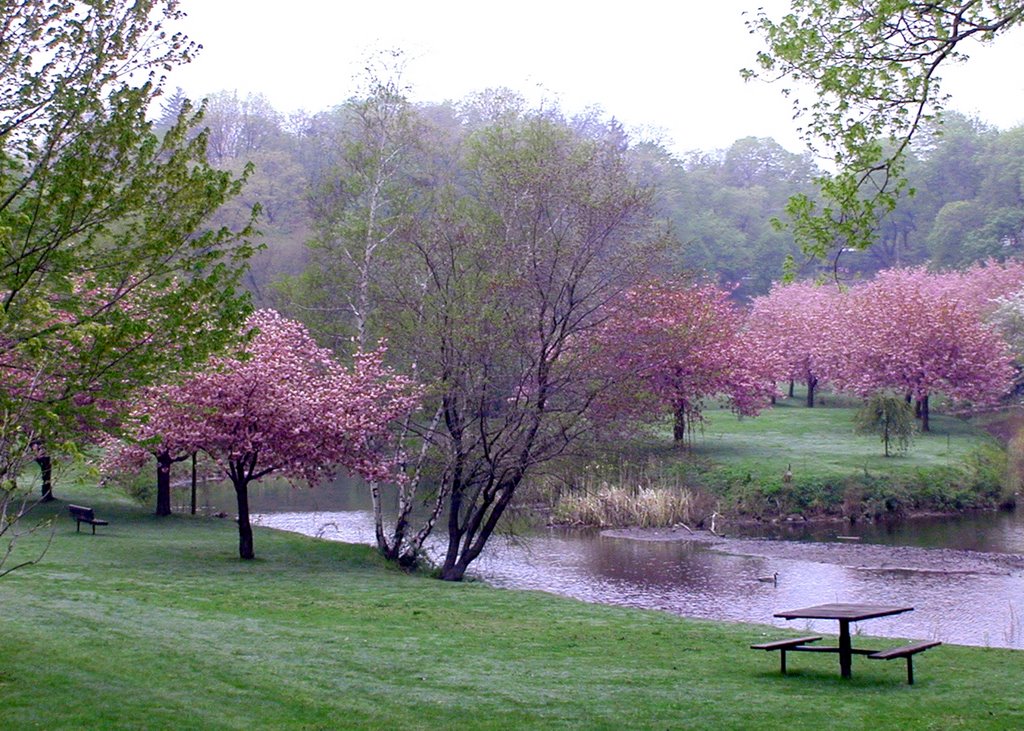HURD PARK