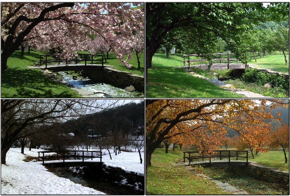 Hurd Park ~ 4 seasons