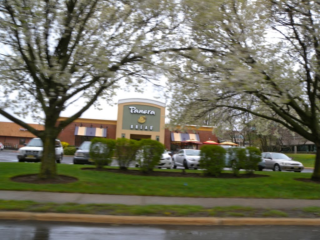 Panera Bread