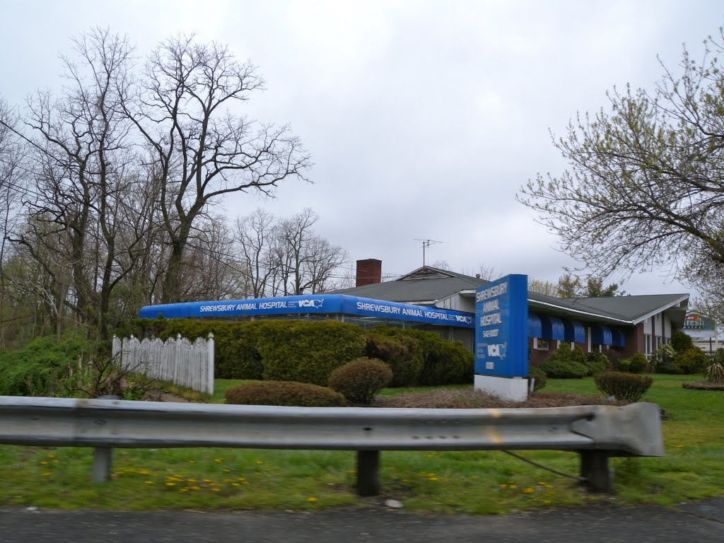 Shrewsbury Animal Hospital