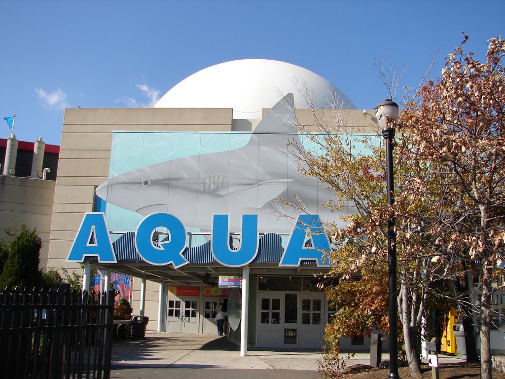 Adventure Aquarium, Camden, NJ