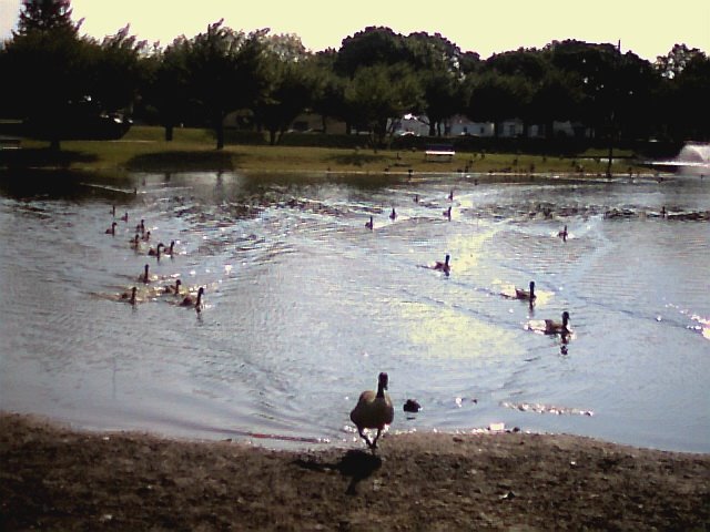 Park, Clifton New Jersey