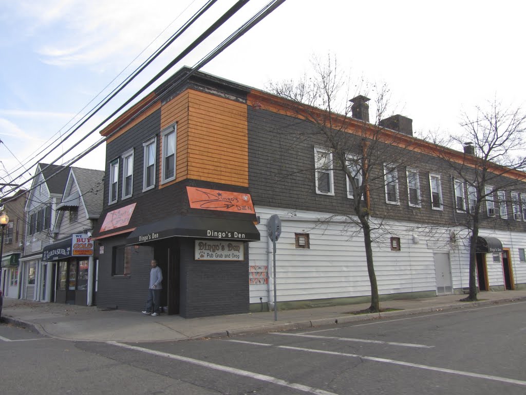 Dingos Den