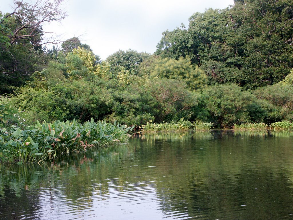 Newton Lake