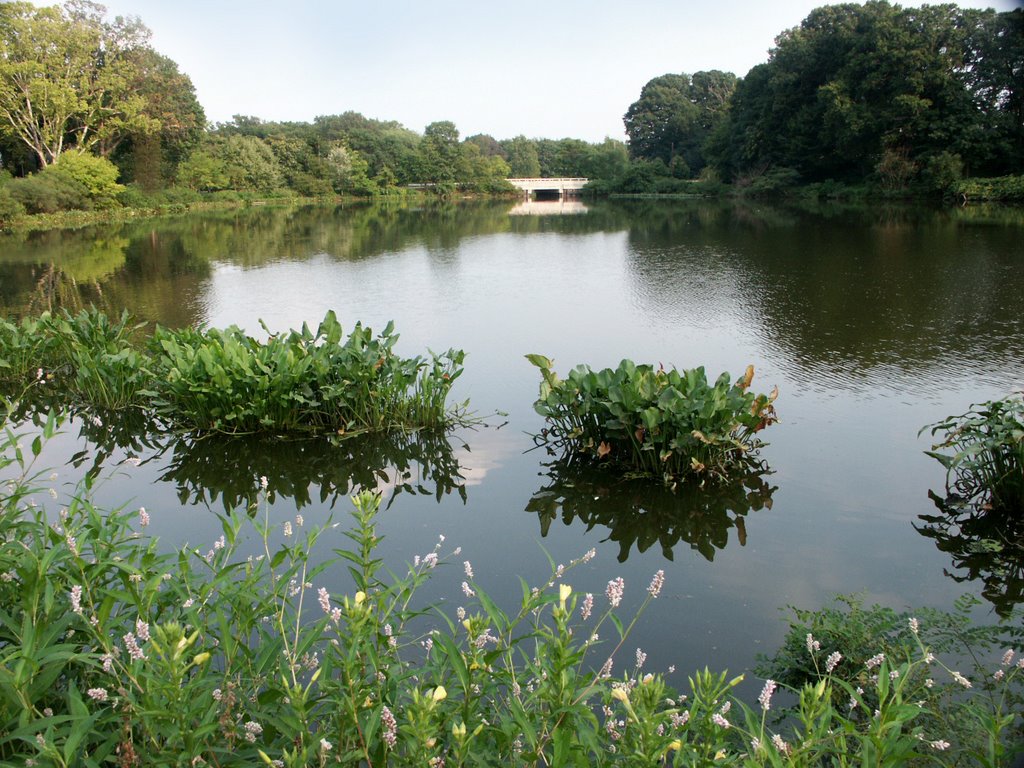 Newton Lake