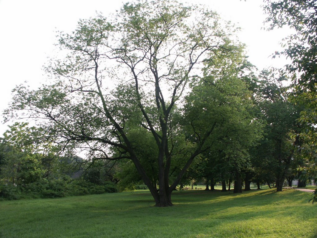 Newton Lake